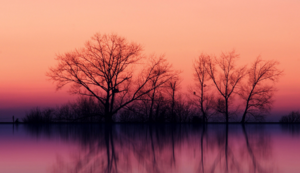 阿贾克斯大胜对手，淘汰赛席位稳固