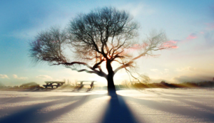 湖北男篮备战态势良好，迎接挑战信心十足