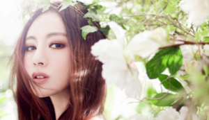 全队发挥出色，积分榜上升至前列！